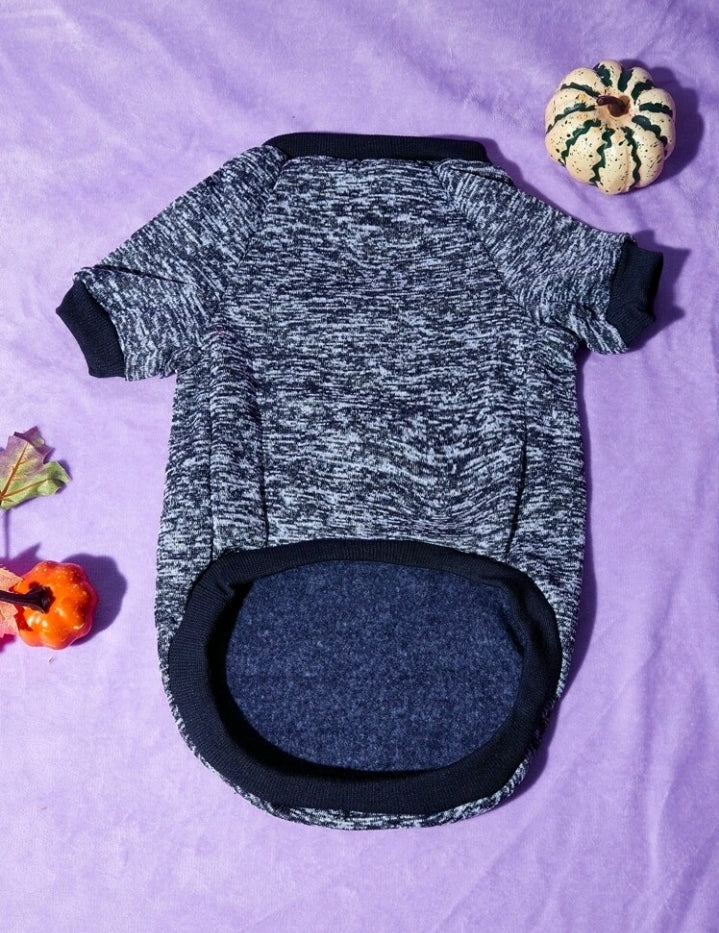 Doggie Halloween Sweatshirt for your Smaller Fur Baby